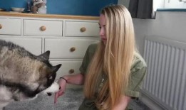 狗狗最新爆料视频大全集,萌宠瞬间，笑料横生